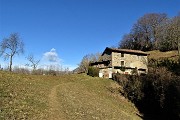 CORNA CAMOSCERA (COREN),1329 m, da Cavaglia di Val Brembilla il 14 gennaio 2019- FOTOGALLERY
